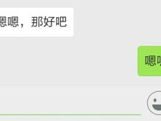 “微信被封号之谜：揭秘账号被封背后的原因与应对策略”