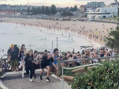 “澳大利亚海滩枪击悲剧：16死震惊世界”